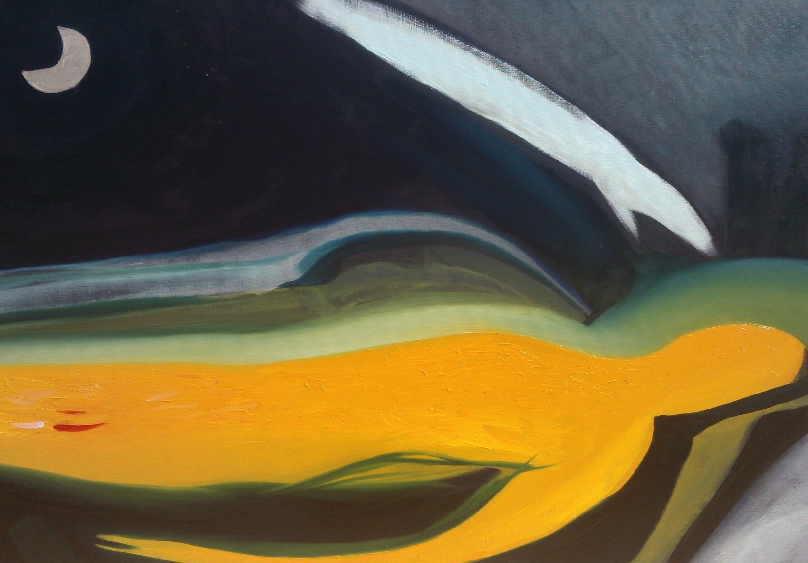 Bacio di artista in sogno nella notte, 2013, olio su tela, 100x70cm